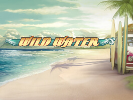 Wild Water