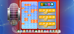 Bingo bonuses